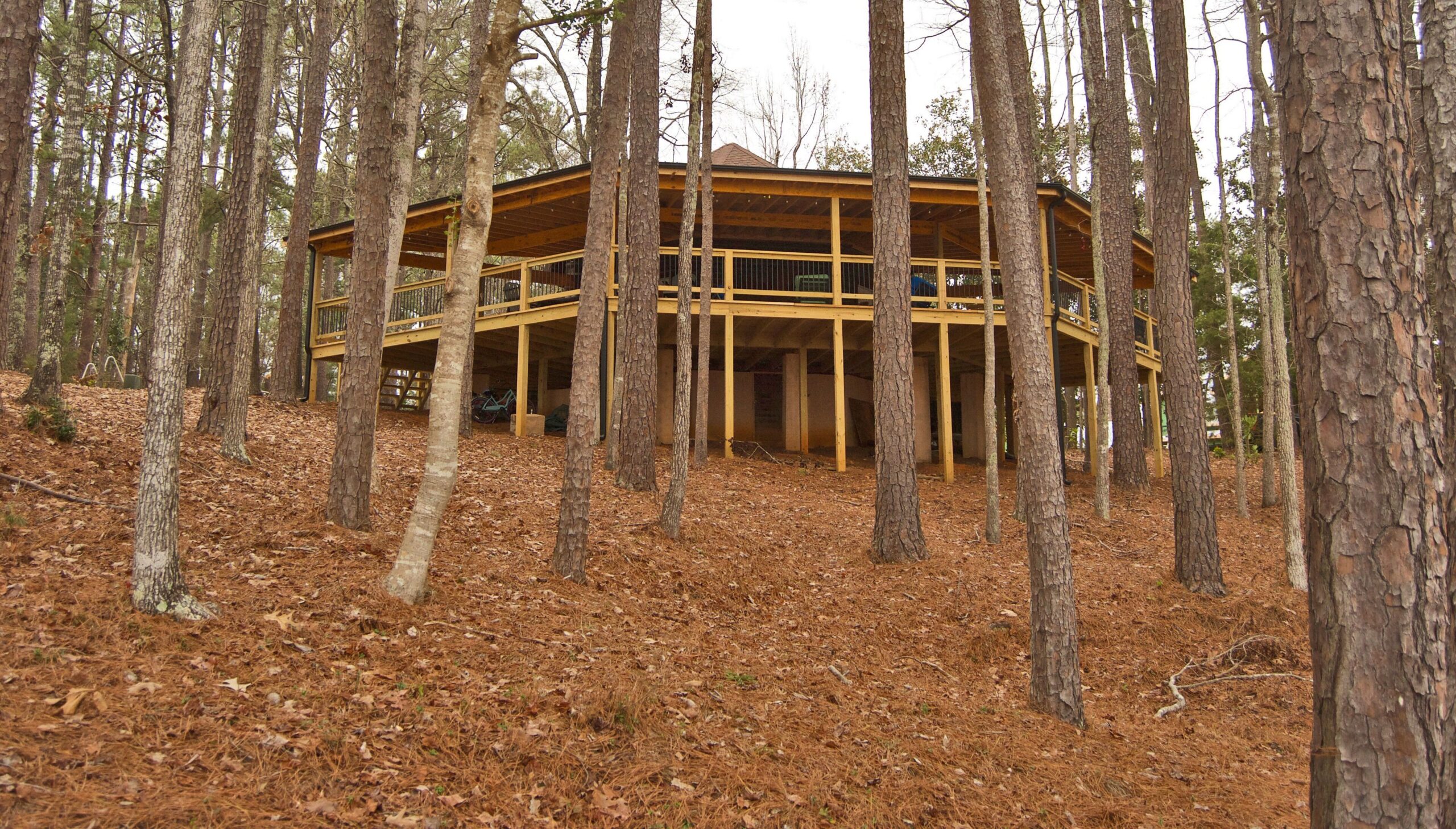 Log Cabin with large deck and dock in best location on the Lake!