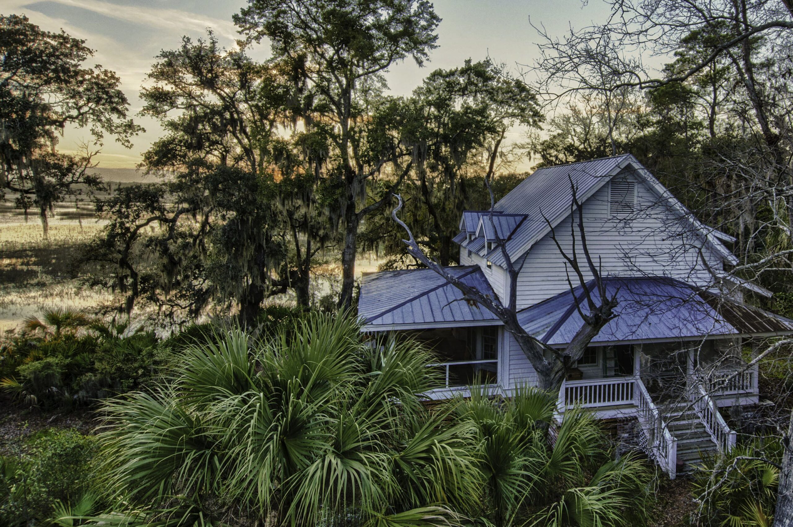 Private Island - Soulfully Peaceful Access to Nature & Wildlife Watching Private Island - Soulfully Peaceful Access to Nature & Wildlife Watching