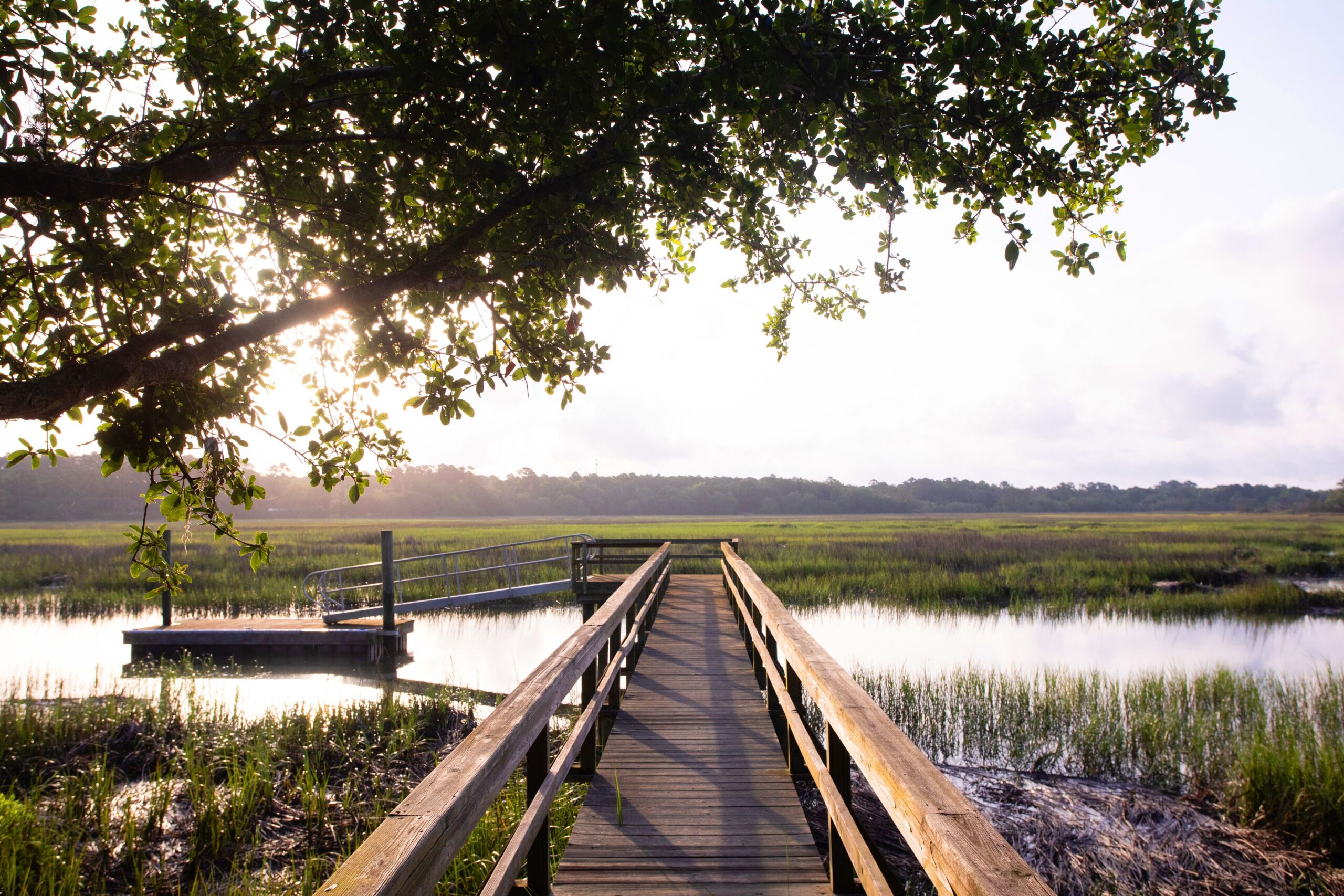 Private Low Country Waterfront Oasis with dock only 10 min to Beaufort Private Low Country Waterfront Oasis with dock only 10 min to Beaufort