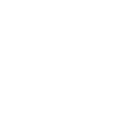 boston whaler logo