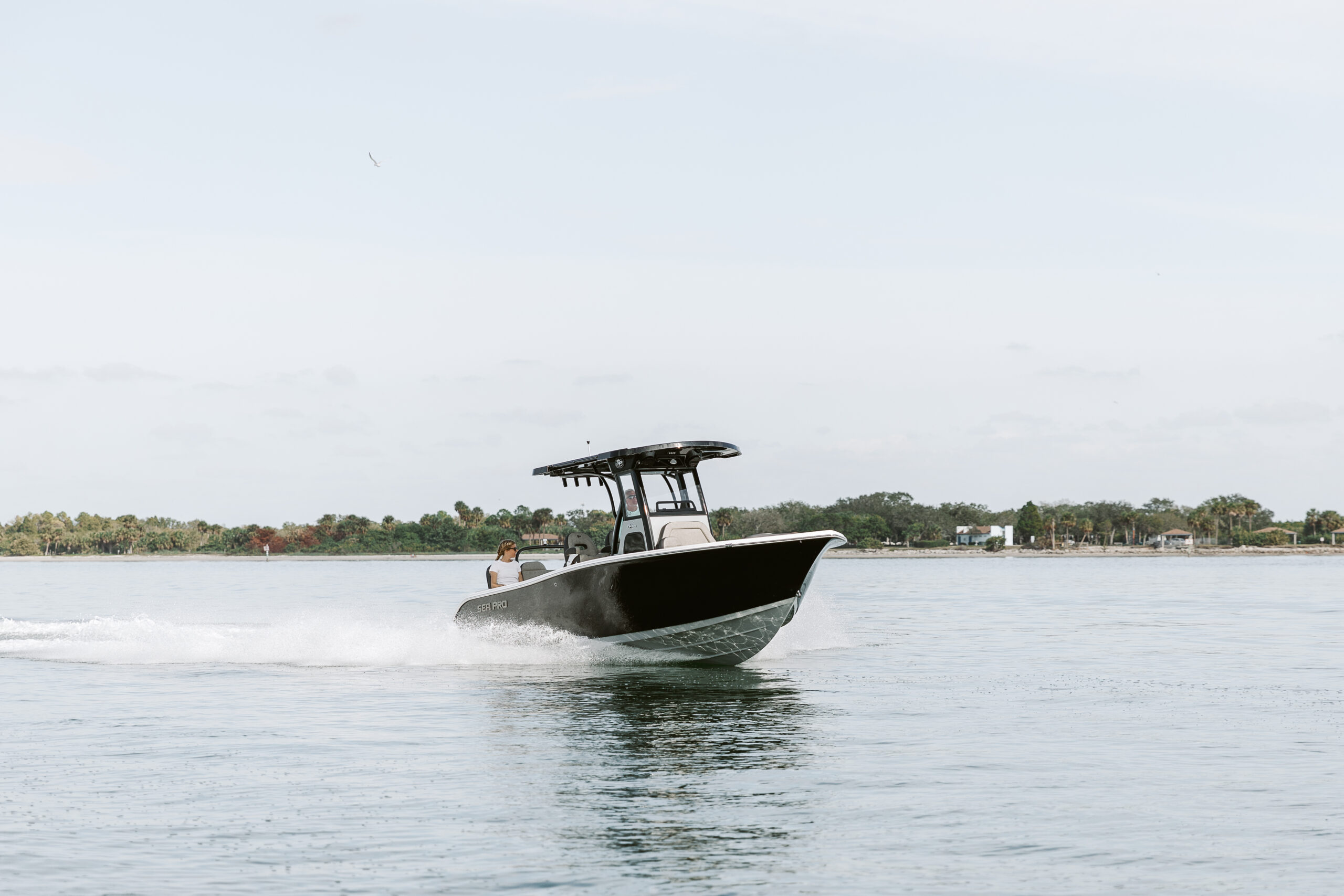 Sea Pro 245 Sandbar Feature Image