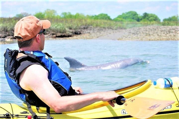 Guided Kayak Creek Adventure In Charleston Guided Kayak Creek Adventure In Charleston