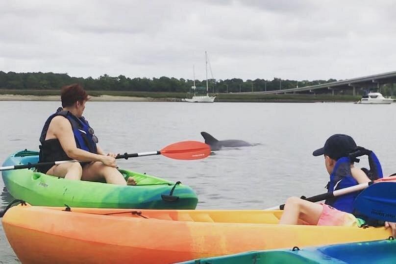 Hilton Head Guided Kayak Eco Tour Hilton Head Guided Kayak Eco Tour
