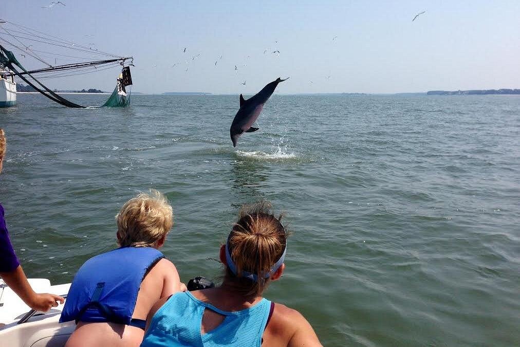 Private Dolphin and Nature Tour of Hilton Head Private Dolphin and Nature Tour of Hilton Head