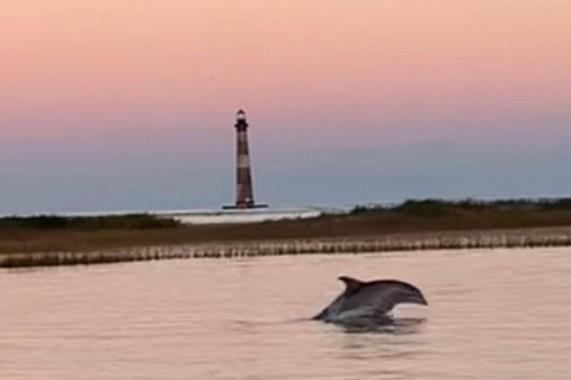 Private Folly Beach Dolphin Cruise (up to 12) Private Folly Beach Dolphin Cruise (up to 12)