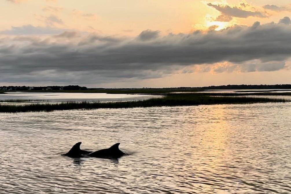 Private Folly River Sunset Dolphin Cruise Private Folly River Sunset Dolphin Cruise