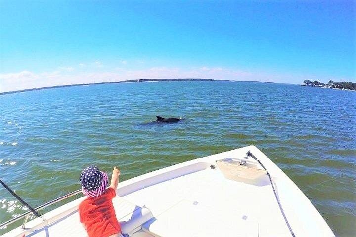 Private Hilton Head Dolphin Tour with Waterfront Dining Stop Private Hilton Head Dolphin Tour with Waterfront Dining Stop