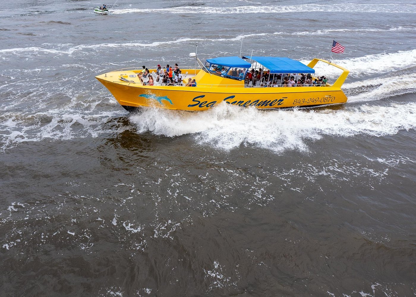 Sea Screamer Cruise - 2 Hour Dolphin Watch Tour in South Carolina