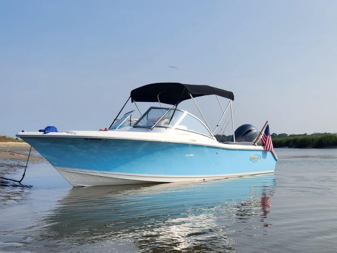 Beautiful and Super Clean 21ft Sea Hunt in Charleston, South Carolina