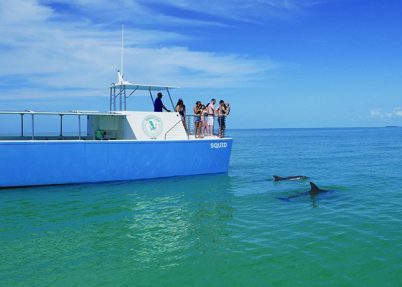 Biologist Owned & Operated Dolphin Watching & Guided Snorkeling Biologist Owned & Operated Dolphin Watching & Guided Snorkeling