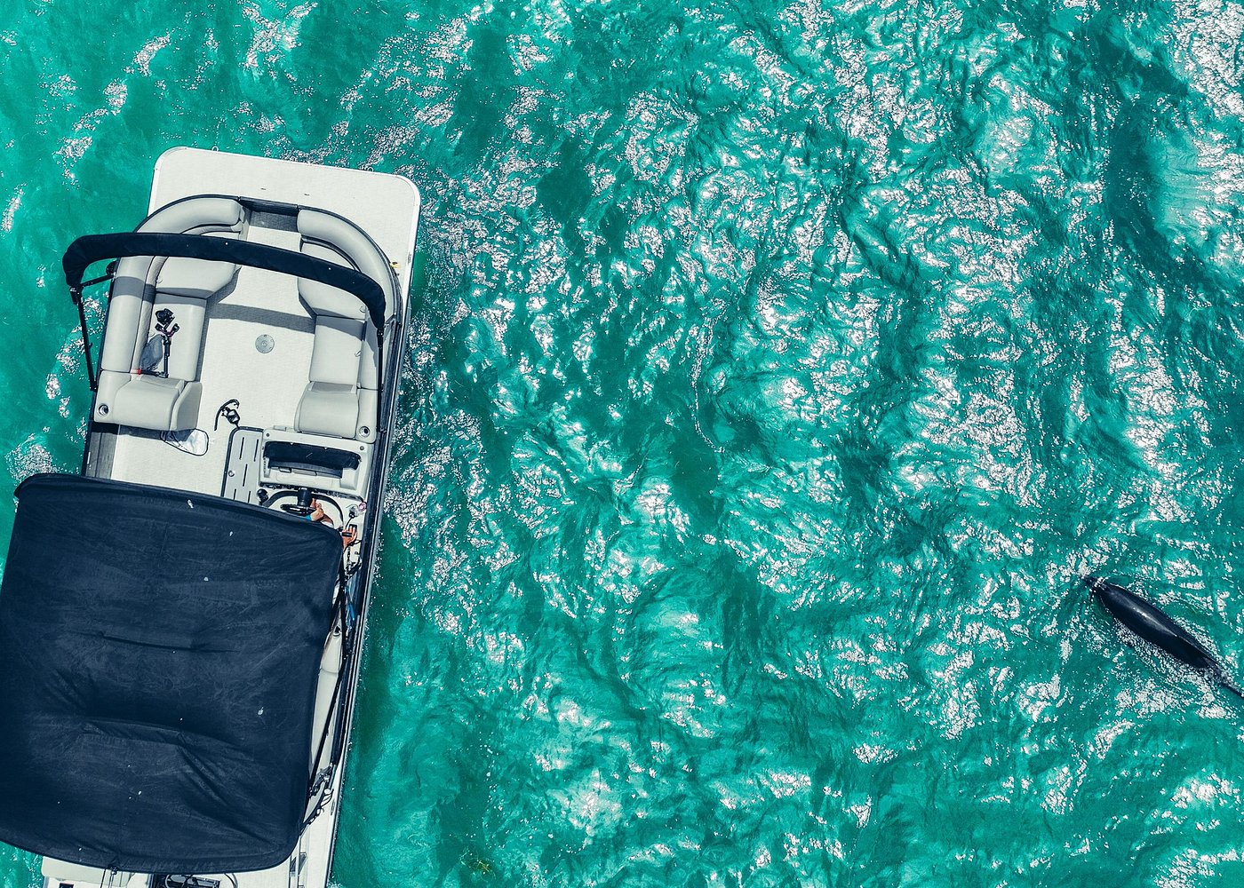 Clearwater Beach Private Pontoon Boat Tours Clearwater Beach Private Pontoon Boat Tours