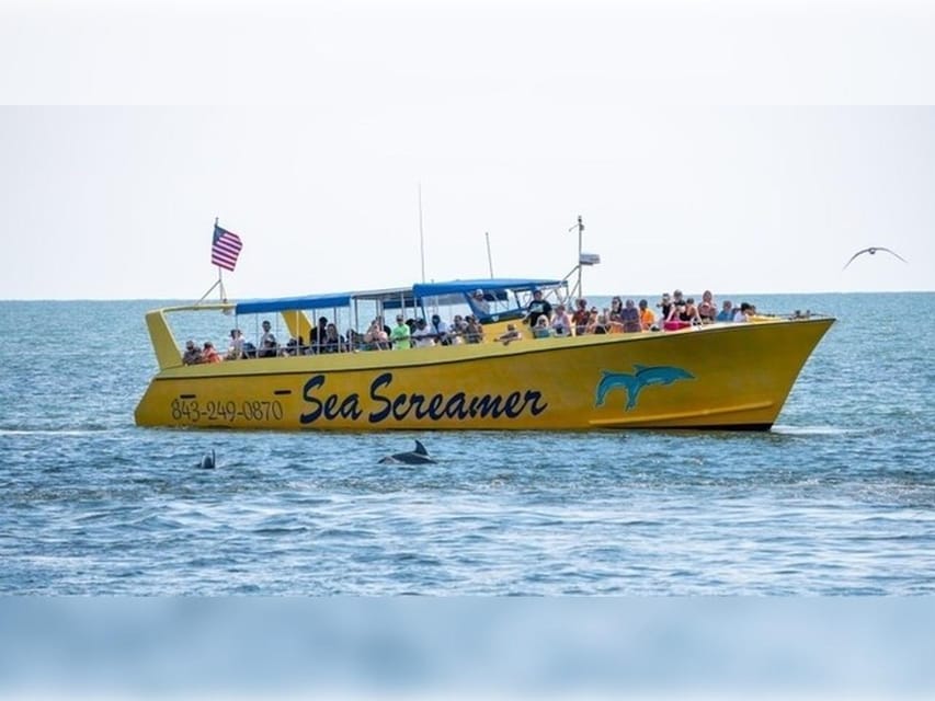 Dolphin Cruise on the Sea Screamer Dolphin Cruise on the Sea Screamer