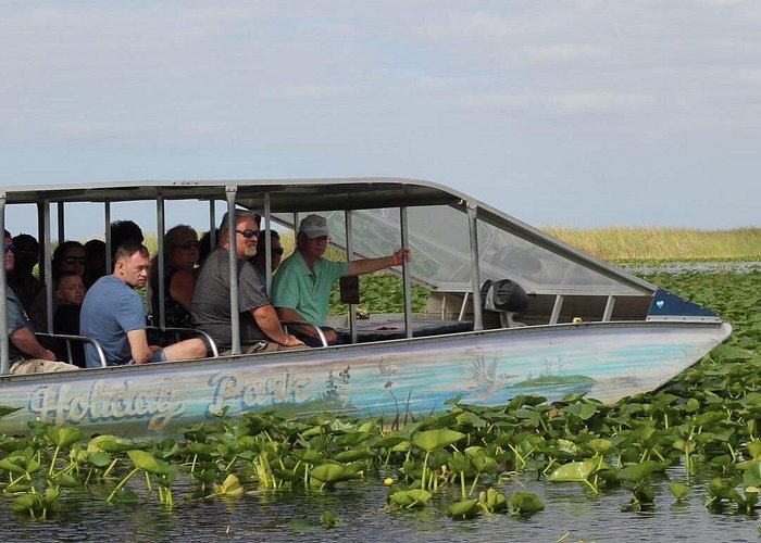 Everglades Tour from Miami with Transportation Everglades Tour from Miami with Transportation