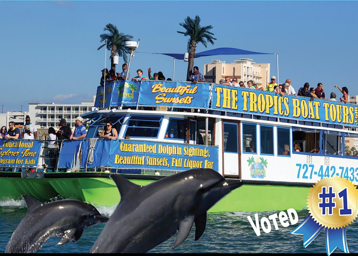 Guaranteed Dolphin Sighting Tour on Tropics Boat Tours Guaranteed Dolphin Sighting Tour on Tropics Boat Tours