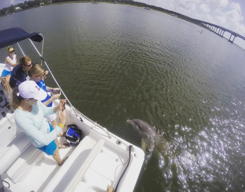 Hilton Head Island Private Dolphin Watching Boat Tour Hilton Head Island Private Dolphin Watching Boat Tour