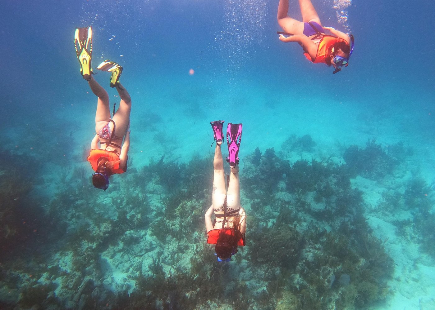 Key Largo Two Reef Snorkel Tour - All Snorkel Equipment Included!