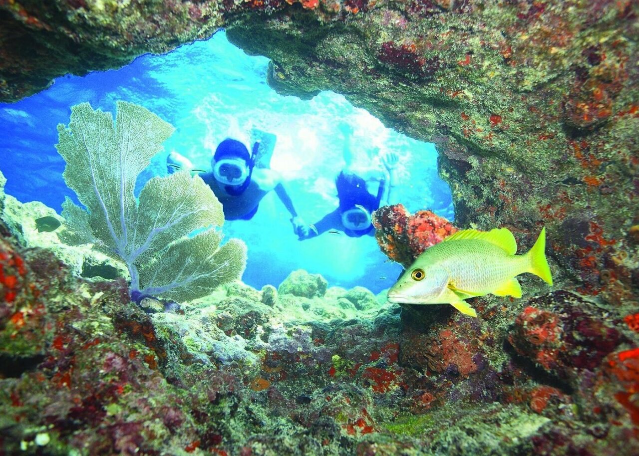 Key West Reef Snorkel – Morning Mimosas or Afternoon Margaritas