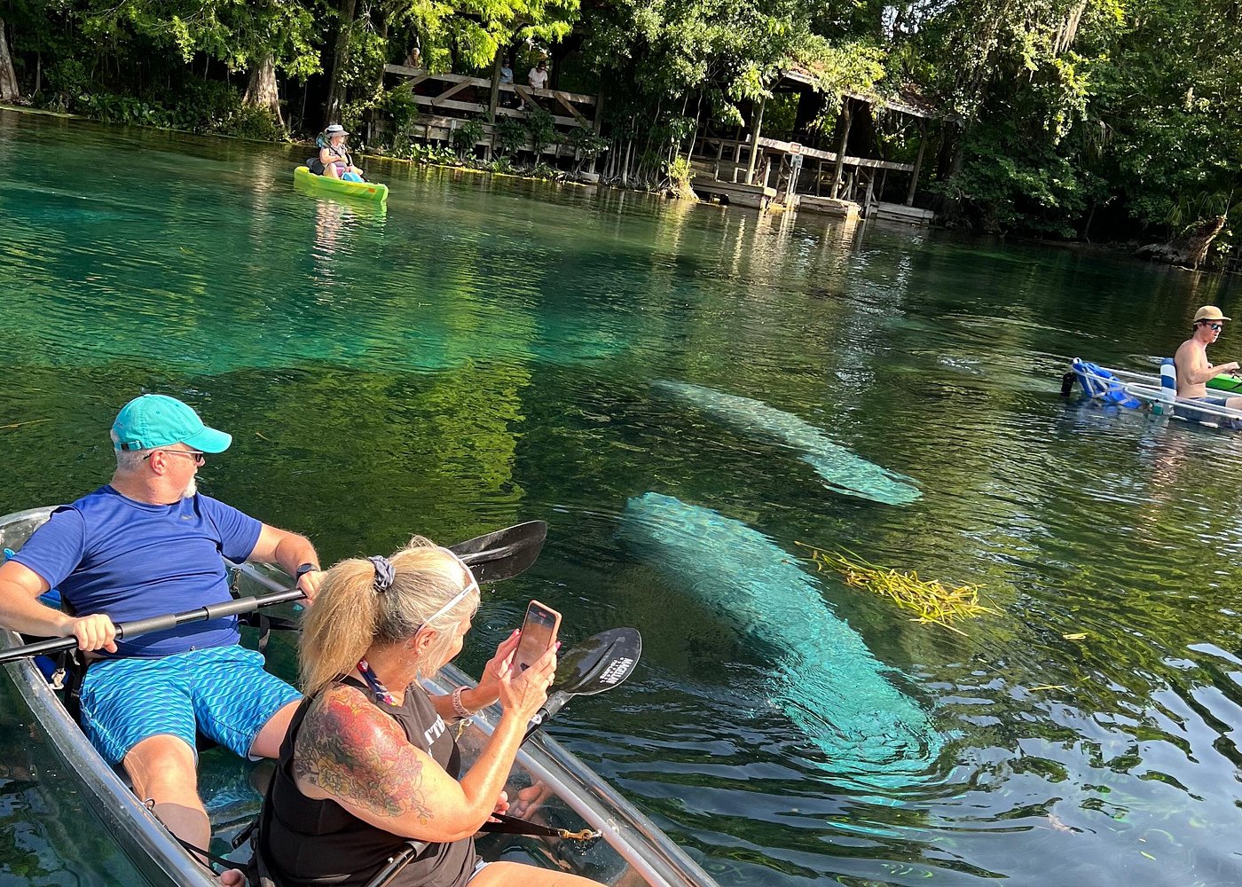 Silver Springs Clear Kayak Manatee & Monkey Adventures Silver Springs Clear Kayak Manatee & Monkey Adventures