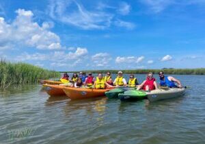 2-Hour Hilton Head Guided Kayak Nature Tour