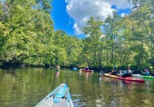 2-Hr Blackwater Kayak Tour just outside Charleston