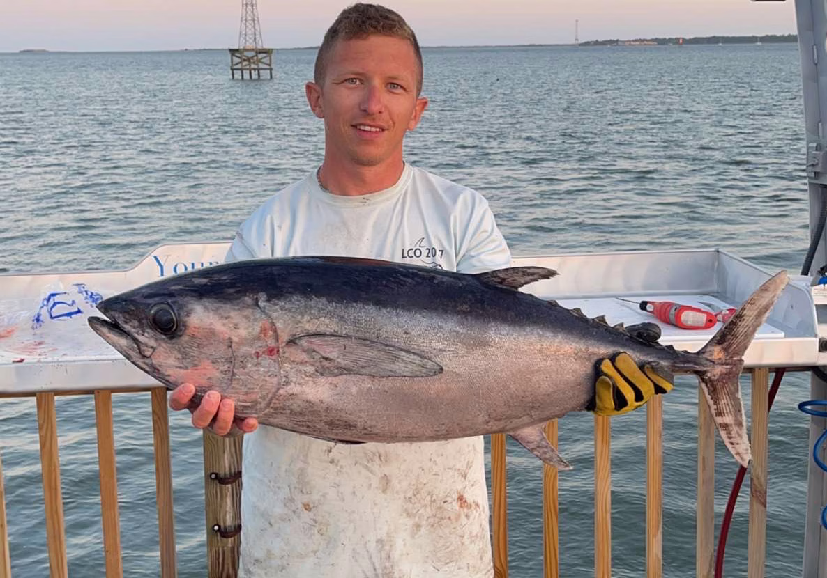 8 Hour Blackfin Tuna
