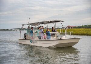 90 Minute Hilton Head Dolphin and Nature Cruise