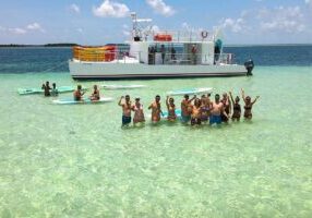 All-Inclusive Sandbar Safari with Dolphin Playground Encounter