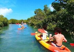 All Inclusive Sandbar Trip With Hidden Kayak Tour, Food & Drinks
