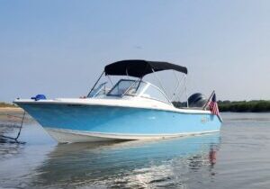 Beautiful and Super Clean 21ft Sea Hunt in Charleston, South Carolina