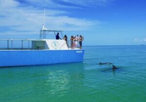Biologist Owned & Operated Dolphin Watching & Guided Snorkeling