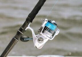 Charleston Inshore Fishing Charter
