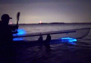 Clear Kayak Bioluminescence Tour - Cocoa Beach