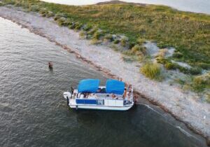 Dolphin Boat Tour from Folly Beach to Morris Island