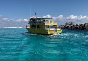 Dolphin & Sunset Cruises