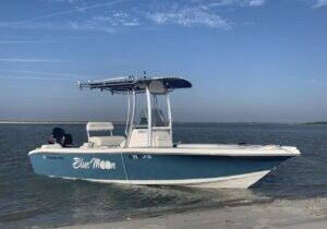 Explore Folly Beach Boat Tours Dolphin Watching & Captained Charters