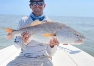 Folly Fly Or Light Tackle