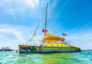 Footloose Catamaran Snorkel and Dolphin Watch Tour