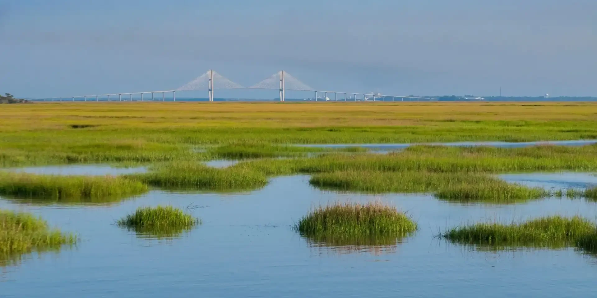 Georgia Travel Image