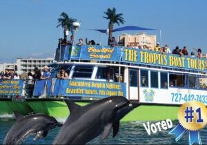 Guaranteed Dolphin Sighting Tour on Tropics Boat Tours