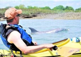 Guided Kayak Creek Adventure In Charleston