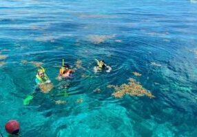 Half Day Snorkel Trip on Reefs in the Florida Keys