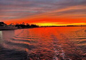Hilton Head 2 Hour Large Group Tour (7-20 people)