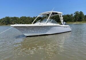 Hilton Head 2 Hour Private Dolphin Tour