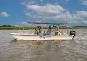 Hilton Head Dolphin Eco Tour with Naturalist Guide