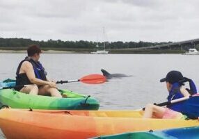 Hilton Head Guided Kayak Eco Tour