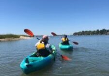 Hilton Head Island 1.5-Hour Guided Small-Group Kayak Tour