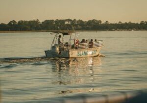 Hilton Head Island Dolphin Cruise & Nature Tour