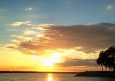 Hilton Head Island Sunset Dolphin Watching Tour