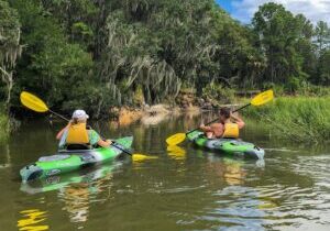 Hilton Head Outback Boat and Kayak Adventure