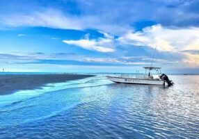 Hilton Head Vanishing Island & Beachcombing Cruise